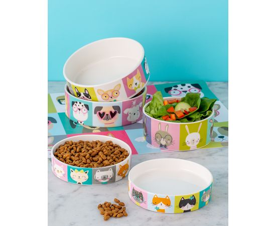 Миска для кошек Pawtrait 250 мл, Mason Cash, изображение 2