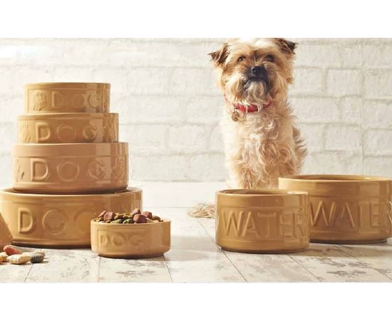 Миска-поилка для собак Cane 20 см, Mason Cash, изображение 2