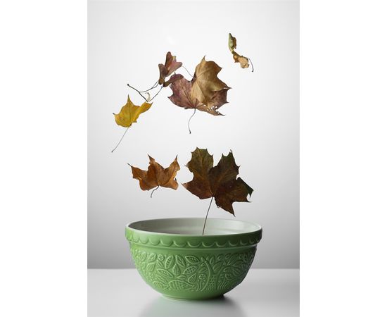 Миска для смешивания In the Forest 21 см зеленая, Mason Cash, изображение 3